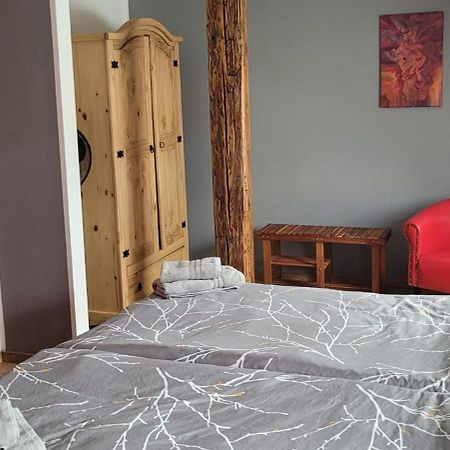 Appartamento Harzritter Domizil Cattenstedt Esterno foto